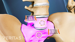 Anterior skeletal view of the lumbar spine with L5 and S1 highlighted