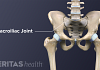 Anterior view of the pelvis highlighting the SI joint.