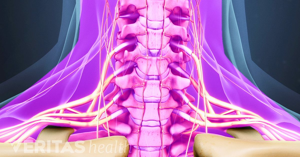 Fascia Definition | Sports Injury-Related Medical Glossary