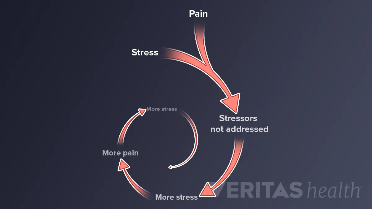 Understanding Pain  Integrated Spine Service