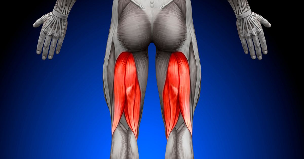 膝に痛みや違和感があるときに この筋肉をほぐしてみよう 第四弾 ハムストリングス スポーツクラウド Sports Crowd