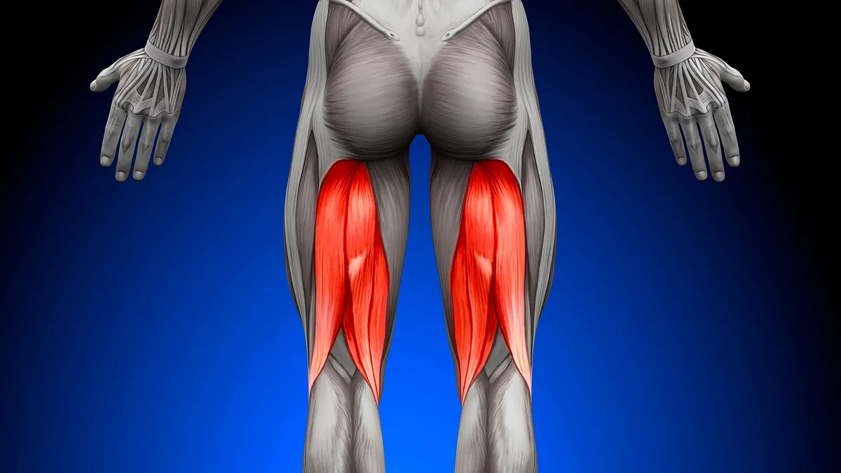 Hamstring injuries - powerful and painful, will they heal on their