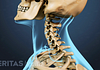 Profile view of cervical spine range of motion
