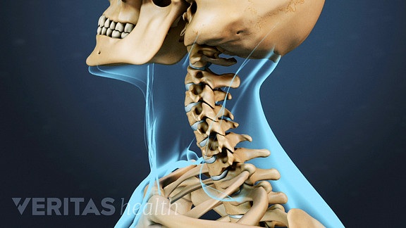 Cervical spine range of motion