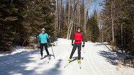Couple skiing a trail