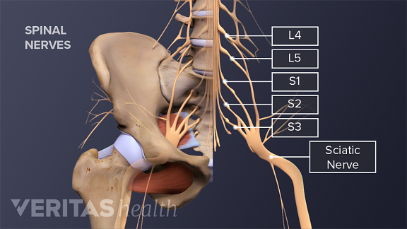 lower back pain loss of appetite