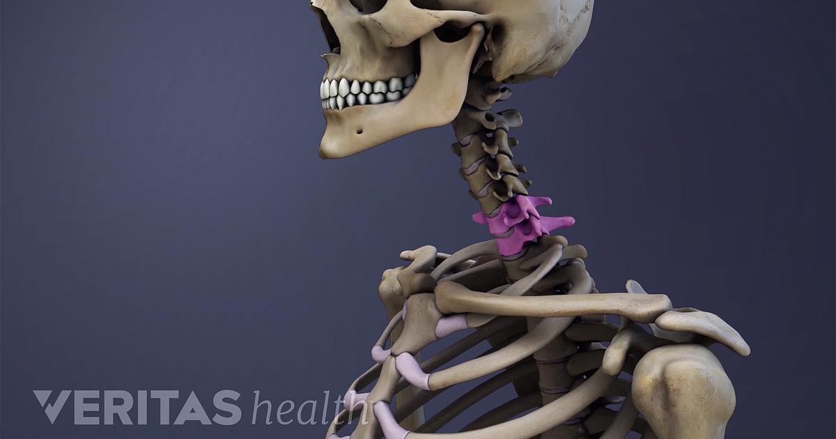 All About the C6-C7 Spinal Motion Segment