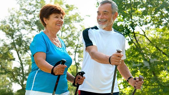 fitness walking sticks