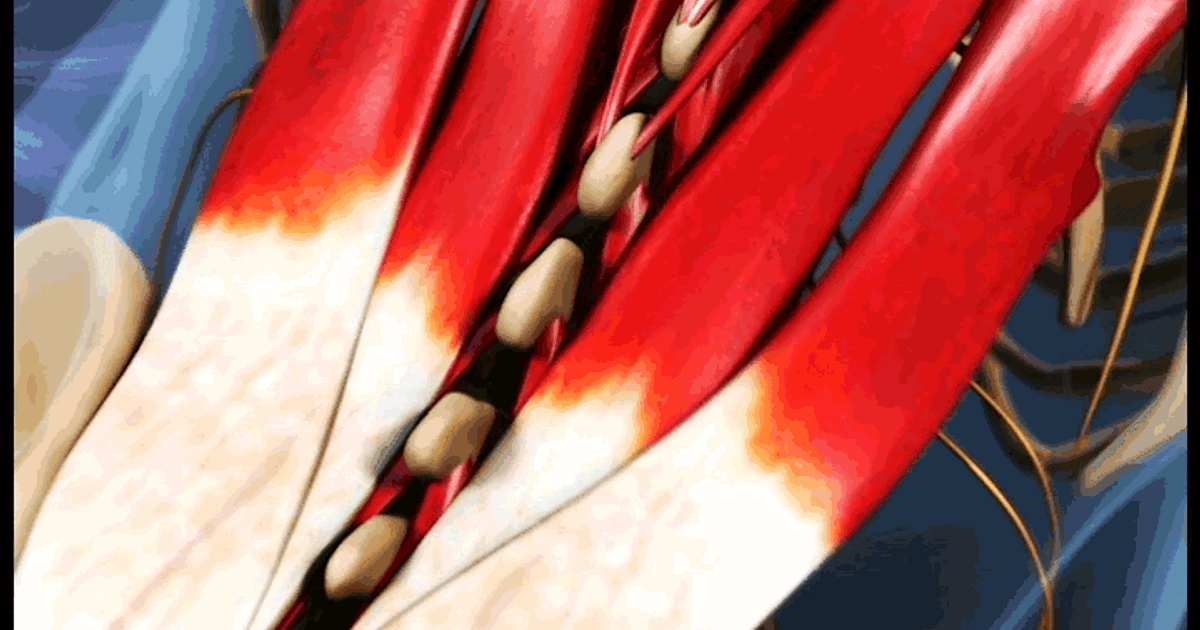 spinal-abnormalities-rarely-cause-back-problems