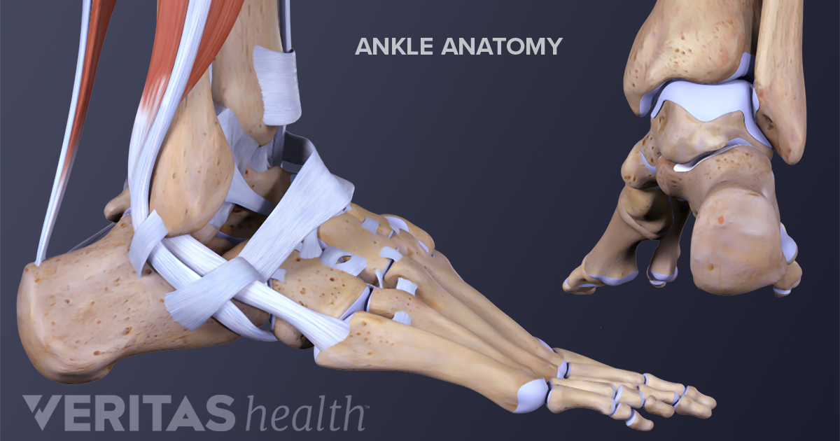 Ankle Arthritis Symptoms | Arthritis-Health