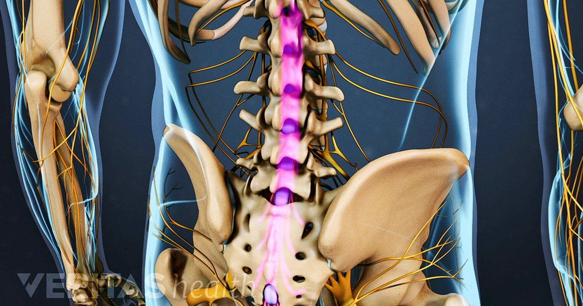 Spinal Cord and Cauda Equina of the Lumbar Spine