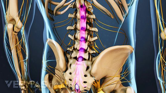 Understanding Spinal Anatomy Helps You Talk to Your Doctors
