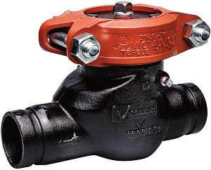 Series 713 Swing Check Valve Series 713 Swing Check Valve