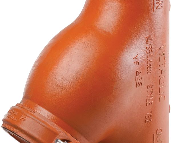 AGS Series W732 Wye Type Strainer