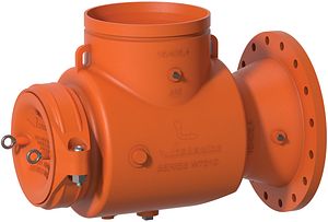 Series W731-D AGS™ Suction Diffuser Series W731-D AGS™ Suction Diffuser