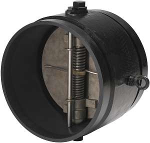 Series W715 AGS™ Double Disc Check Valve 