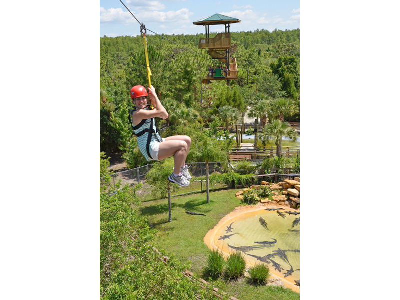 Screamin Gator Zip Line At Gatorland