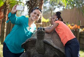 Tampa’s Lowry Park Zoo Admission