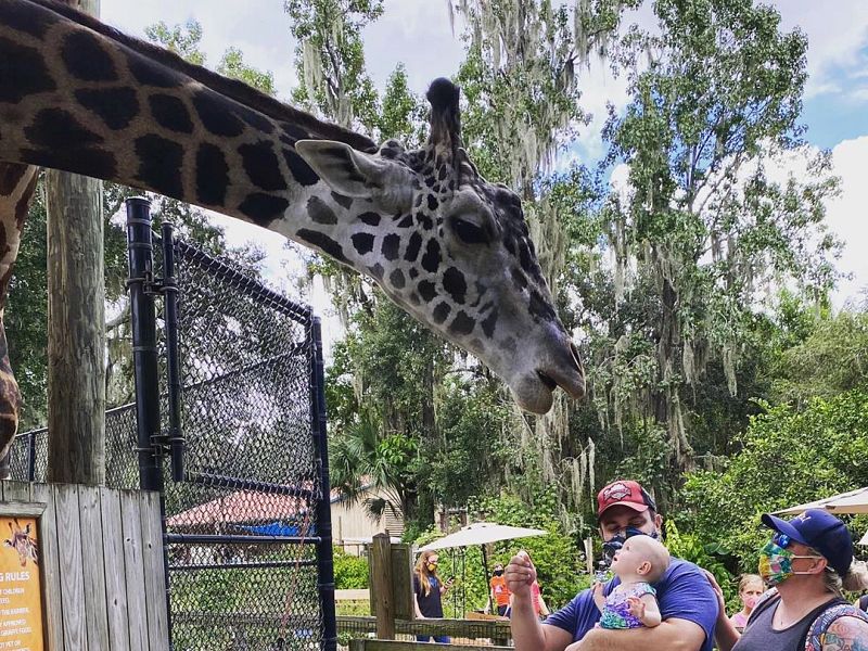 Central Florida Zoo Botanical Gardens
