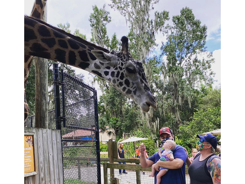 Central Florida Zoo Botanical Gardens