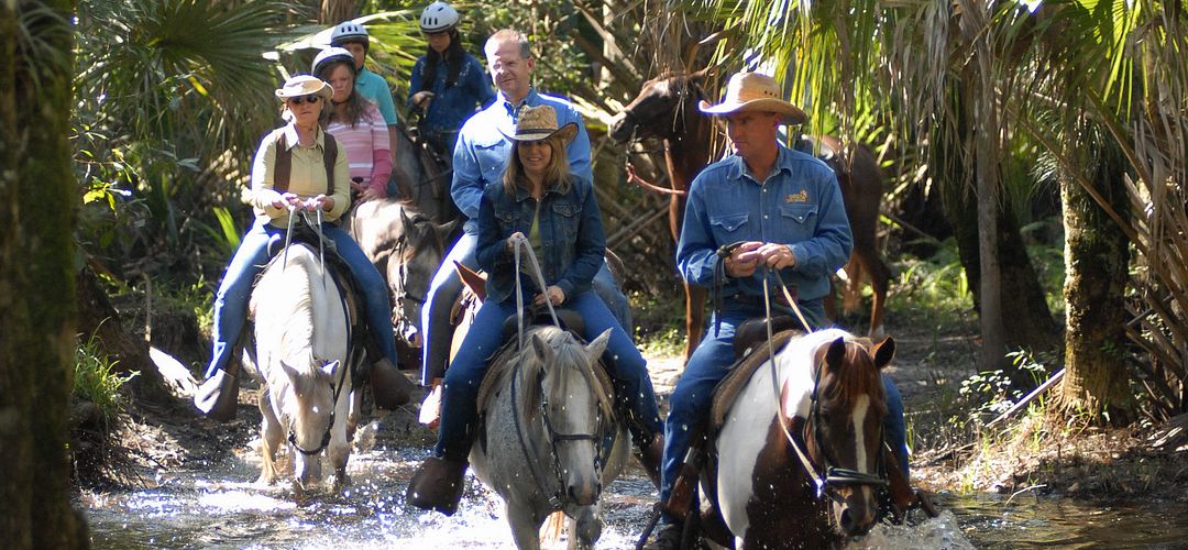 People crossing a stream while riding horses A group of people crossing a stream while horseback riding in Forever Florida tour
