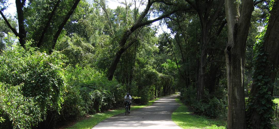 West Orange Trail - Bikes & Blades Co Man riding a bike along the West Orange Trail in Orlando