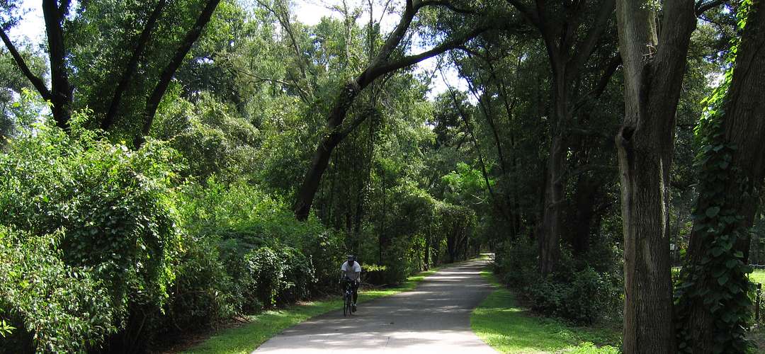 Man cycling through beautiful Scenery at West Orange Trail Man cycling at West Orange Trail