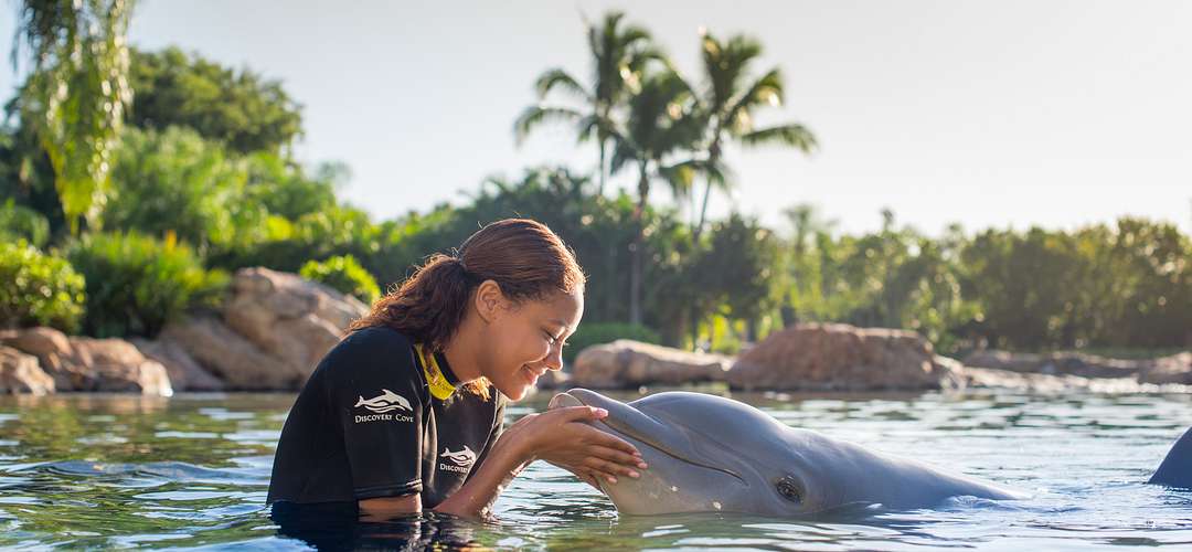 Discovery Cove Woman in the water with a dolphin at Discovery Cove at SeaWorld Orlando