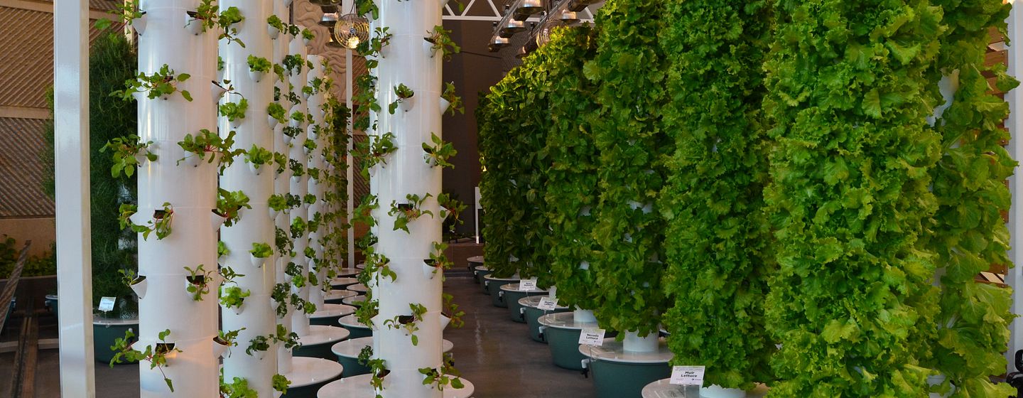 Orange County Convention Center Goes Green With Center To Table