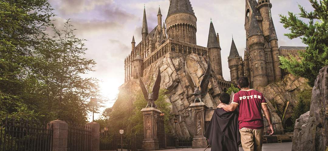 Resultado de imagem para wizarding world of harry potter