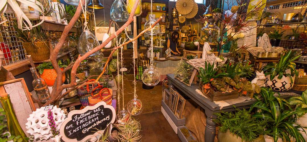 East End Market Porch Therapy plant store located at East End Market