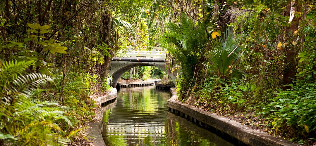 Winter Park Canal along the Winter Park Scenic Boat Tour