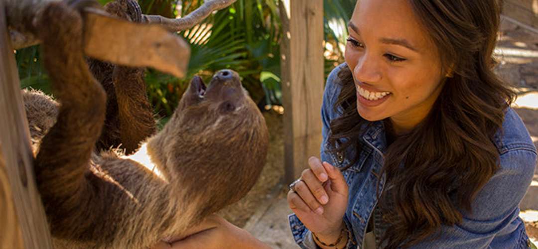 Wild Florida Airboats and Gator Park Woman petting a sloth at Wild Florida Airboats