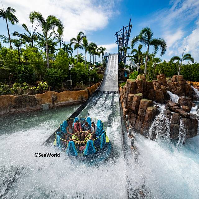 Parques Tematicos En Orlando Disney Universal Y Seaworld