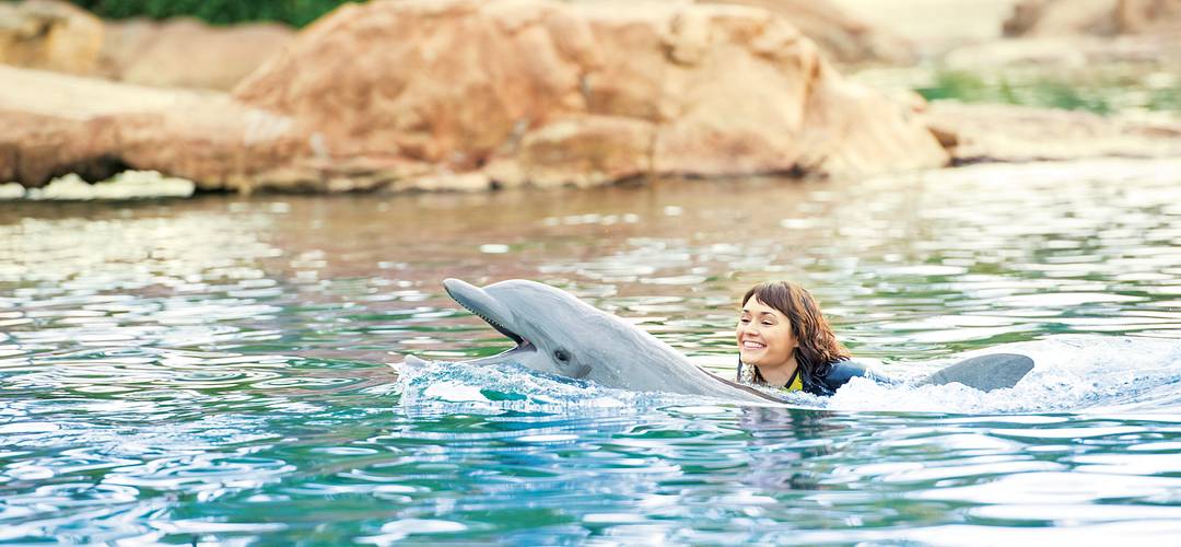Discovery Cove Woman swimming with a dolphin at Discovery Cove