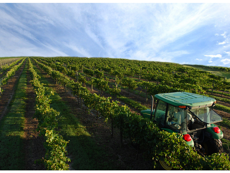 Lakeridge Winery Vineyards Clermont 2020 All You Need To Know Before You Go With Photos Clermont Fl Tripadvisor