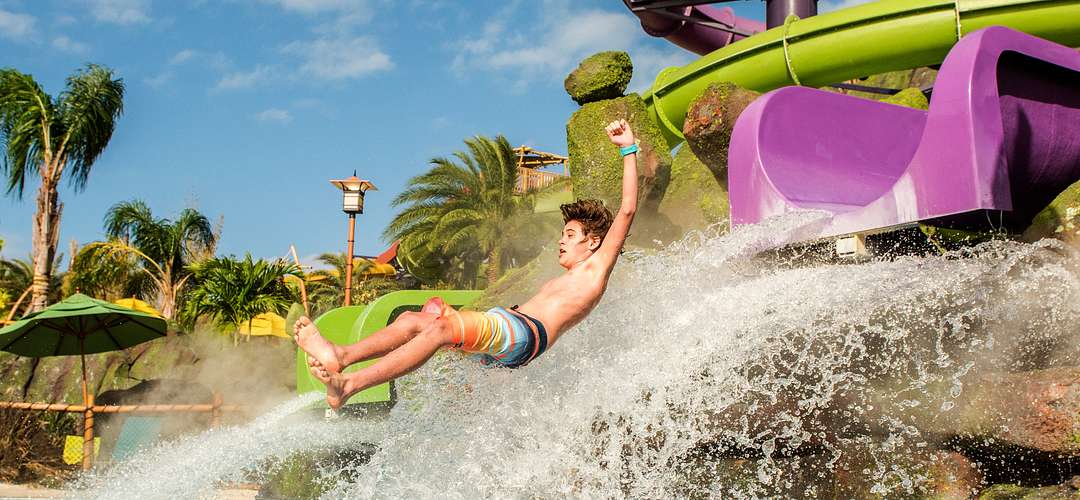 Toboágua de Ohno Ohyah en Universal's Volcano Bay Criança mergulhando em uma piscina depois de descer o Ohno Ohyah.