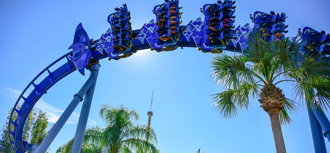 Manta Coaster in SeaWorld Orlando Guests riding the Manta Coaster in SeaWorld Orlando