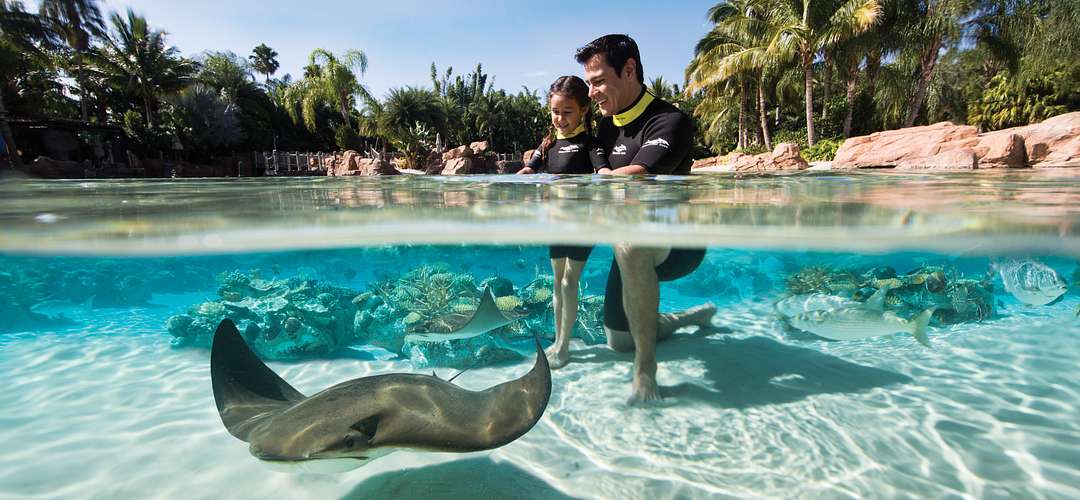 Grand Reef at Discovery Cove A ray glides by a father and daughter in the water.