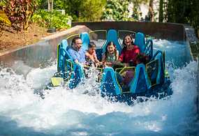 Your Official Source for discount SeaWorld, Busch Gardens & Aquatica Tickets
