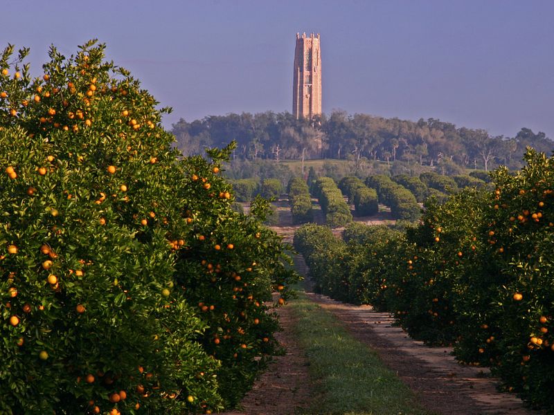 Bok Tower Gardens