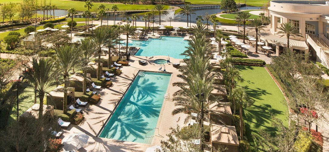 Hilton Orlando Bonnet Creek An aerial view of the Hilton Orlando Bonnet Creek pool, surrounded by palm trees.