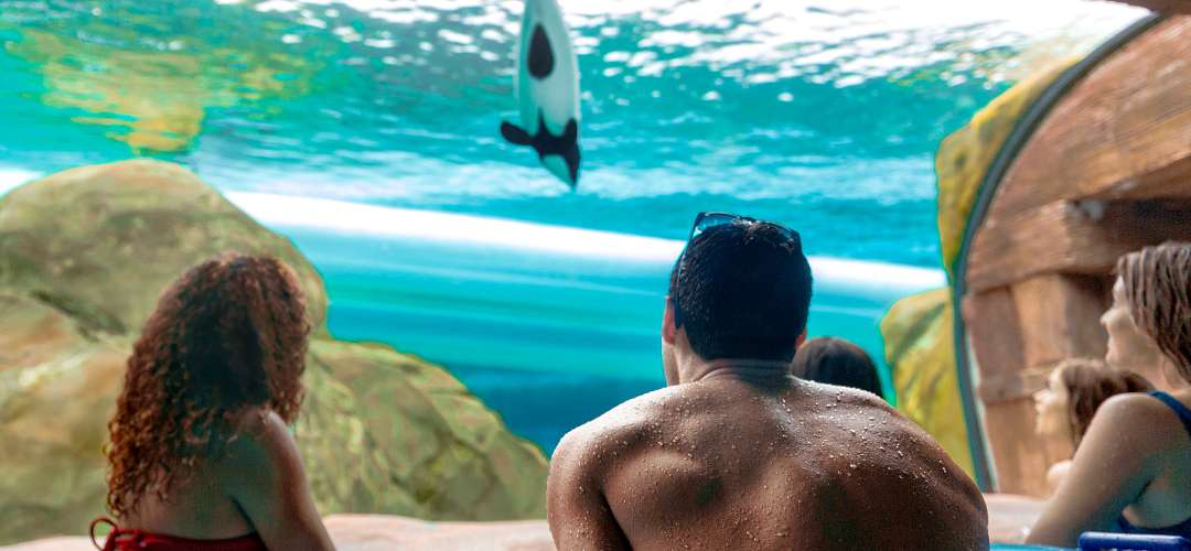 SeaWorld's Aquatica People viewing a whale at Loggerhead Lane in Aquatica Orlando