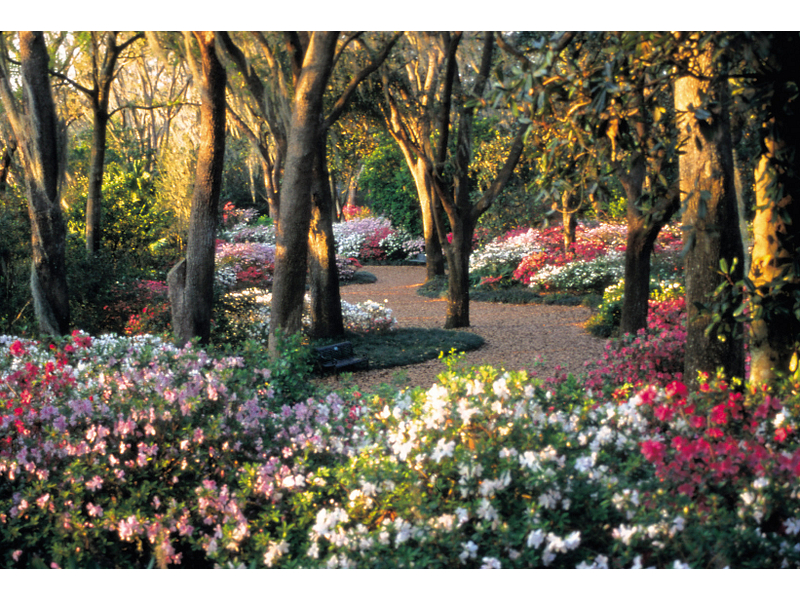 Bok Tower Gardens