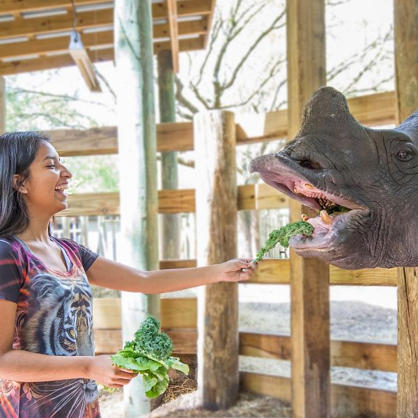 Discounted Tampa’s Lowry Park Zoo Tickets