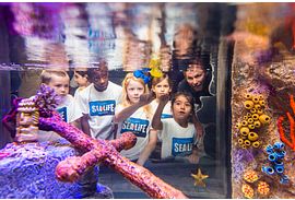 SeaLife Aquarium