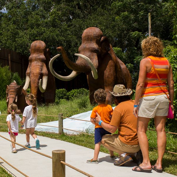 Discounted Dinosaur World Theme Park Tickets
