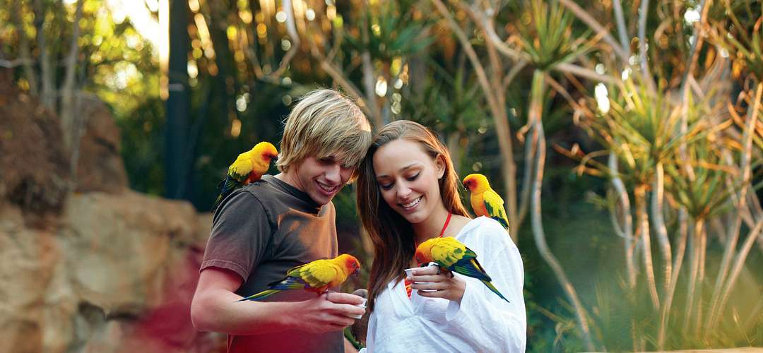 Teens feeding birds at Discovery Cove Teens holding and feeding birds at Discovery Cove in Orlando