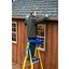 PDFS103 Step Ladders - Werner US PDFS103 Step Ladders - Werner US