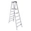 PT376 Stepladders | - Werner Asia PT376 Stepladders | - Werner Asia